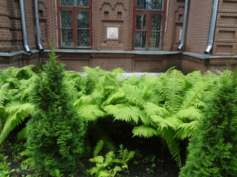 2 дня в Ивановской области (Иваново, Шуя, Холуй, Южа, Палех)