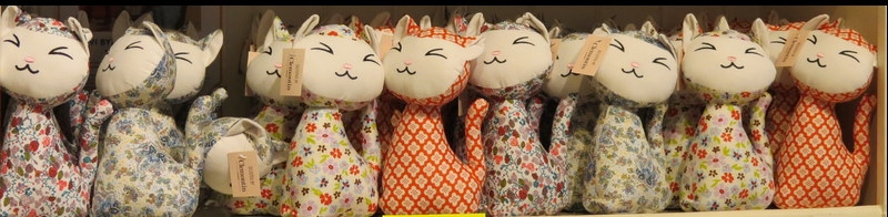 Поговорим о кошках34