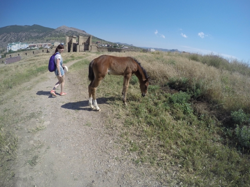 Наше Солнечное Крымское путешествие. (Видео + фото)