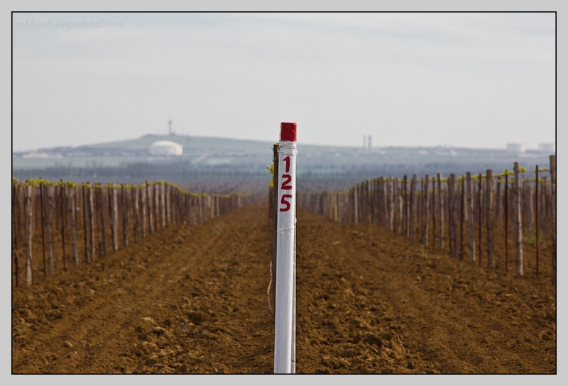 Таманский полуостров.