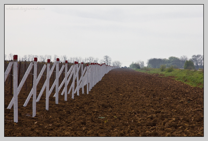 Таманский полуостров.