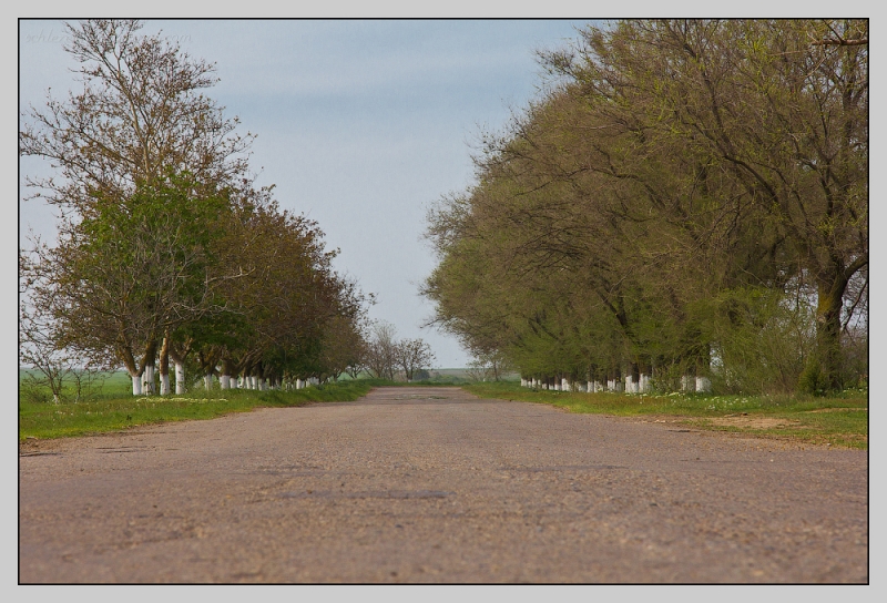 Таманский полуостров.