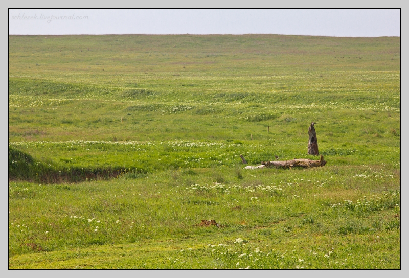 Таманский полуостров.