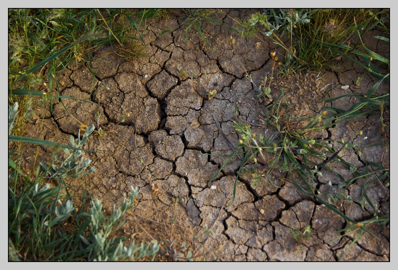 Таманский полуостров.