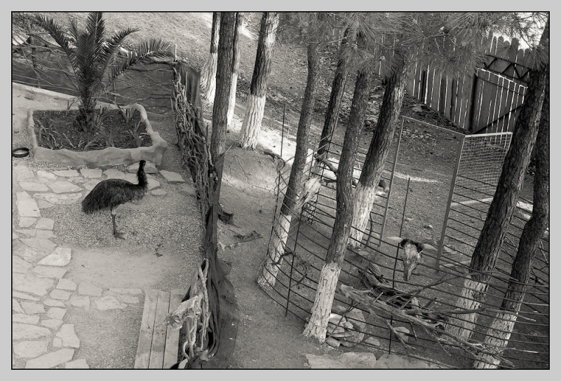 Таманский полуостров.