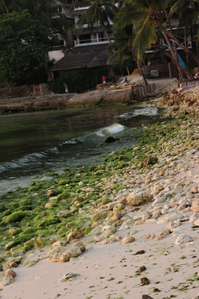 Боракай (Boracay) отели отзывы, выбор отеля на Боракае