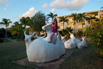 В отеле на кайо Коко