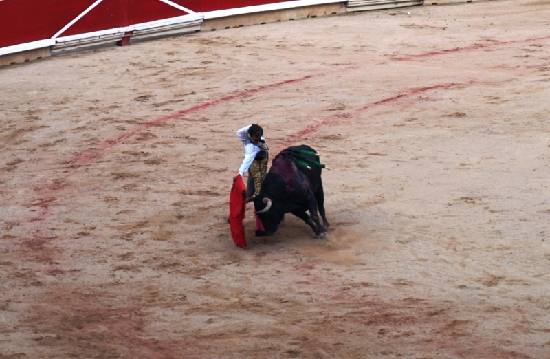 Коррида в Испании