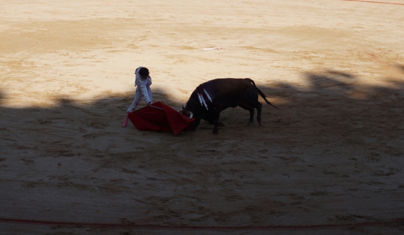 Коррида в Испании
