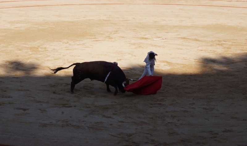 Коррида в Испании
