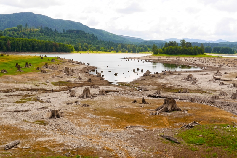 Маунт-Рейнир