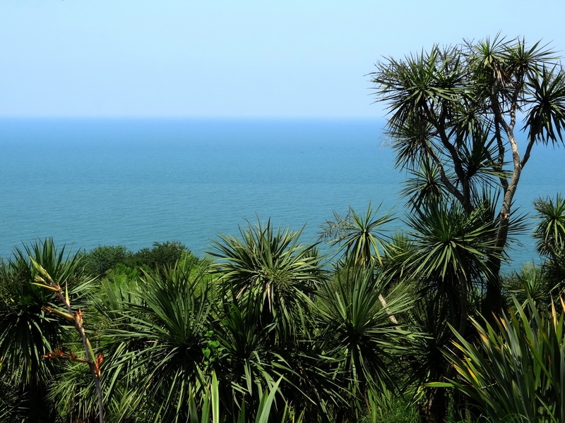 Поедка в Грузию , маленькая и незабываемая, июль 2015