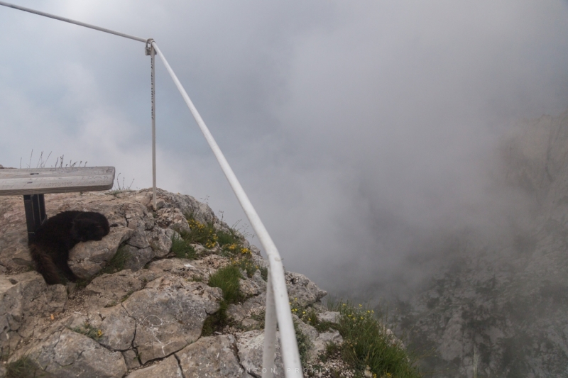 Наше Солнечное Крымское путешествие. (Видео + фото)