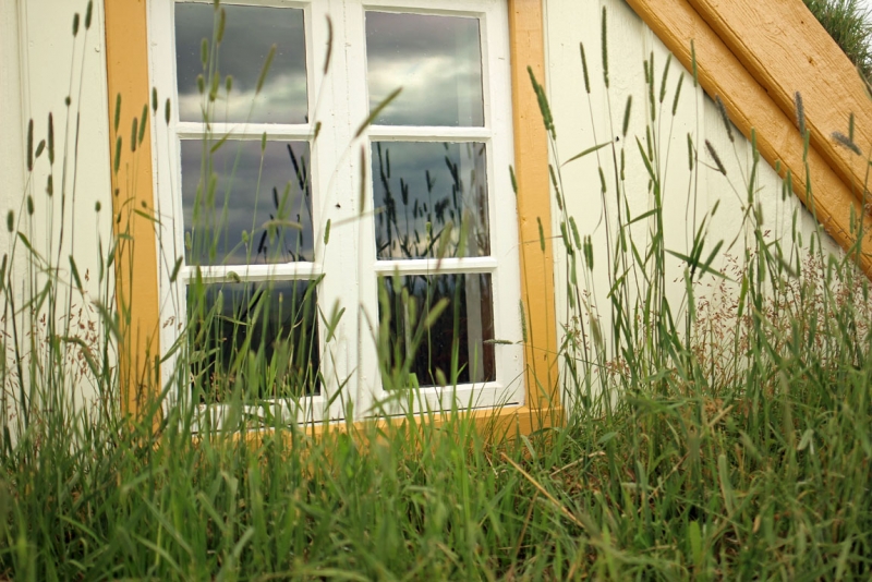 Остров Бекасов