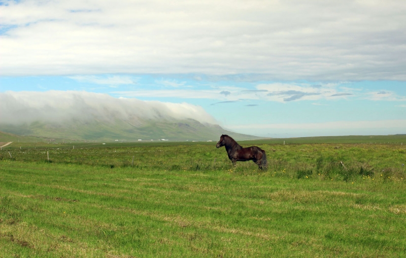 Остров Бекасов
