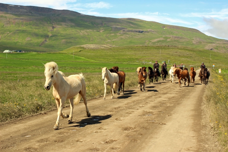 Остров Бекасов