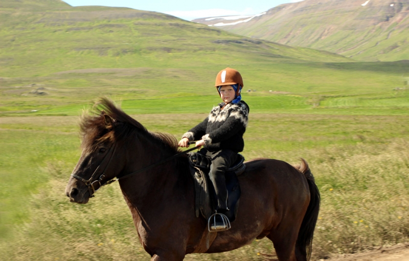 Остров Бекасов