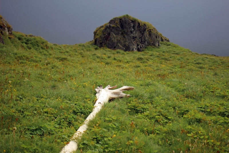 Остров Бекасов