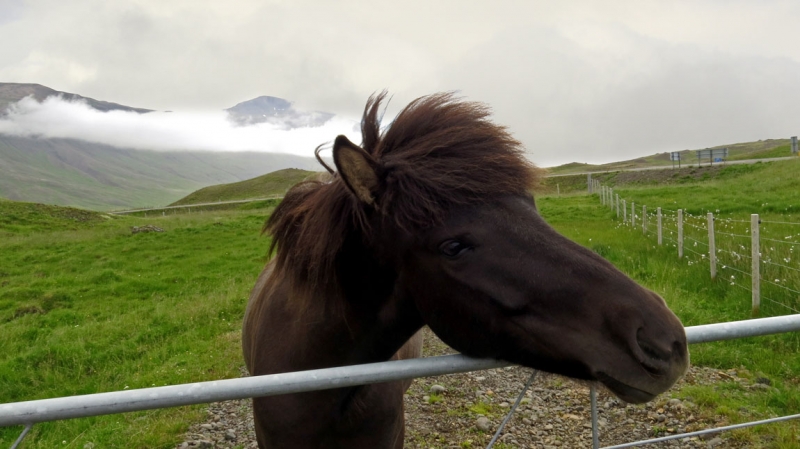 Остров Бекасов