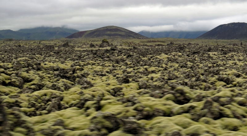 Остров Бекасов
