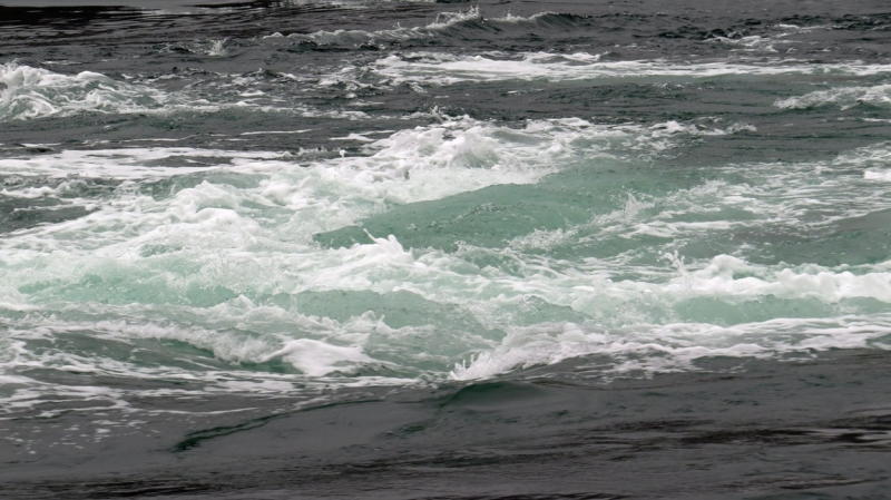 Остров Бекасов