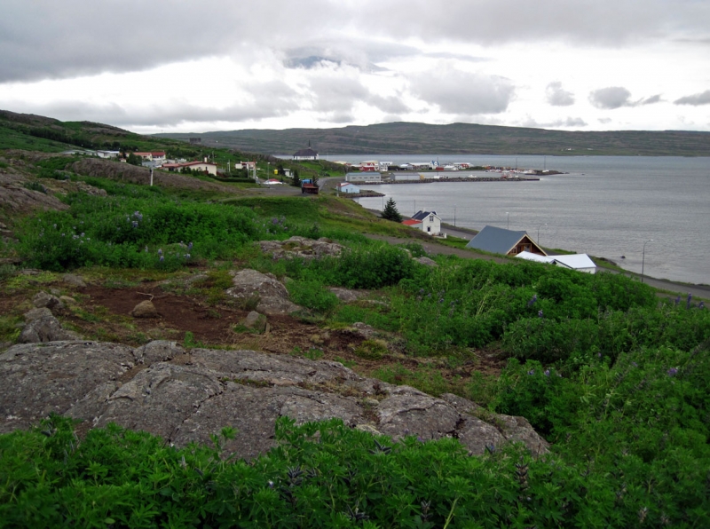 Остров Бекасов