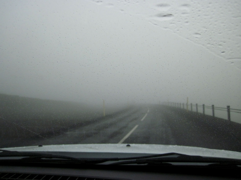 Остров Бекасов