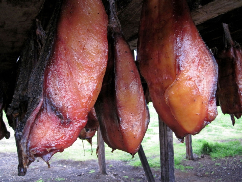 Остров Бекасов