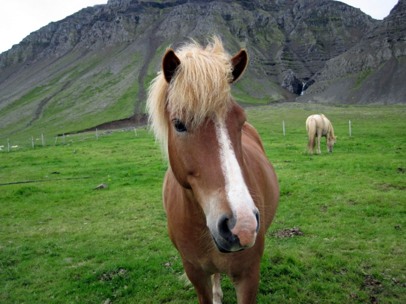 Остров Бекасов