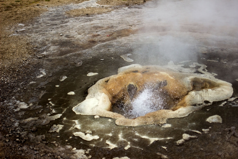 Остров Бекасов