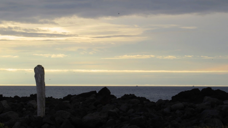 Остров Бекасов