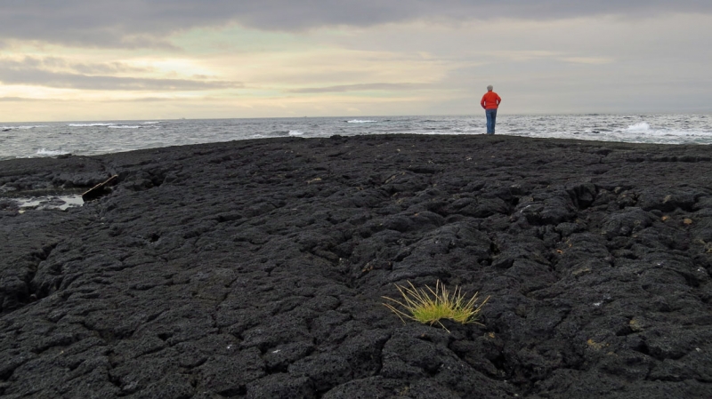 Остров Бекасов