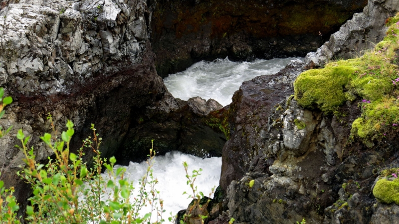 Остров Бекасов