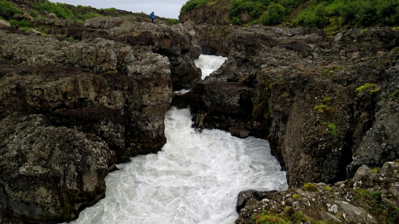 Остров Бекасов