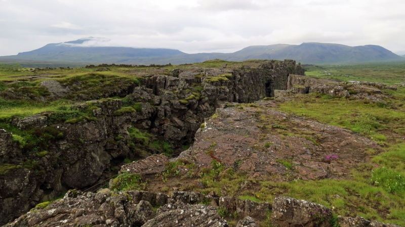 Остров Бекасов