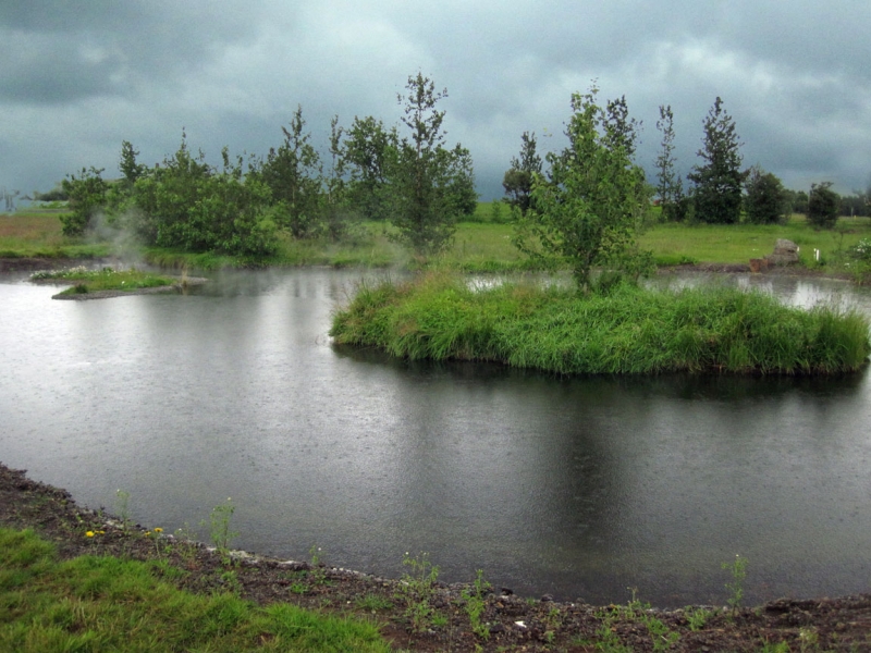 Остров Бекасов