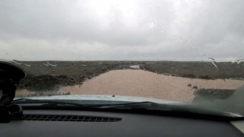 Остров Бекасов