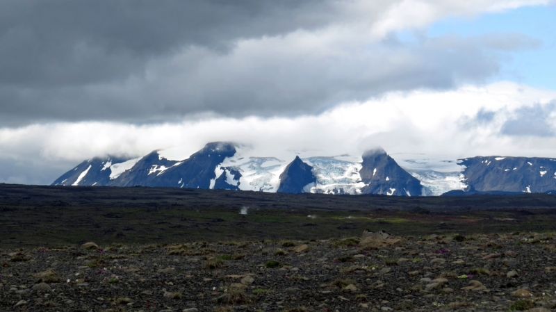 Остров Бекасов