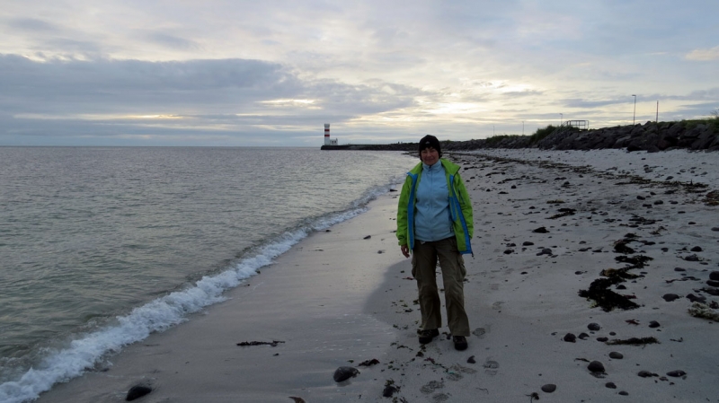 Остров Бекасов