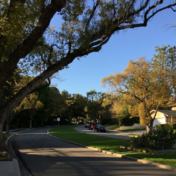 Лос Анжелес и Сан Франциско 2015