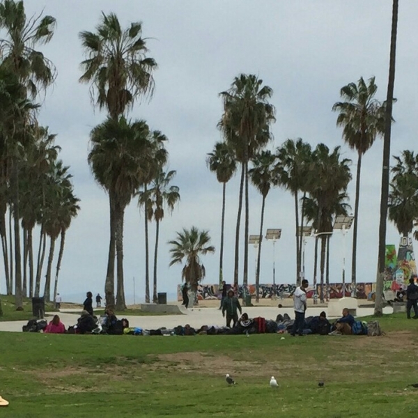 Лос Анжелес и Сан Франциско 2015