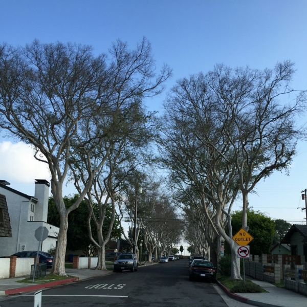 Лос Анжелес и Сан Франциско 2015