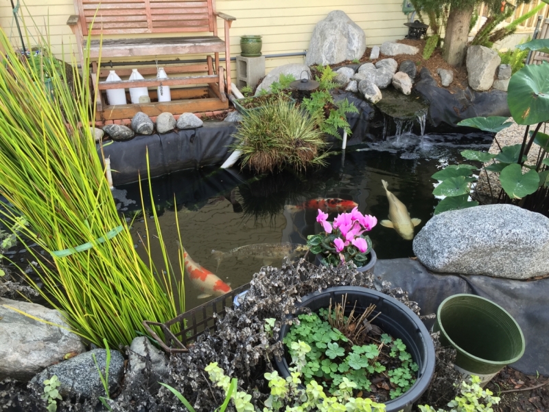 Лос Анжелес и Сан Франциско 2015