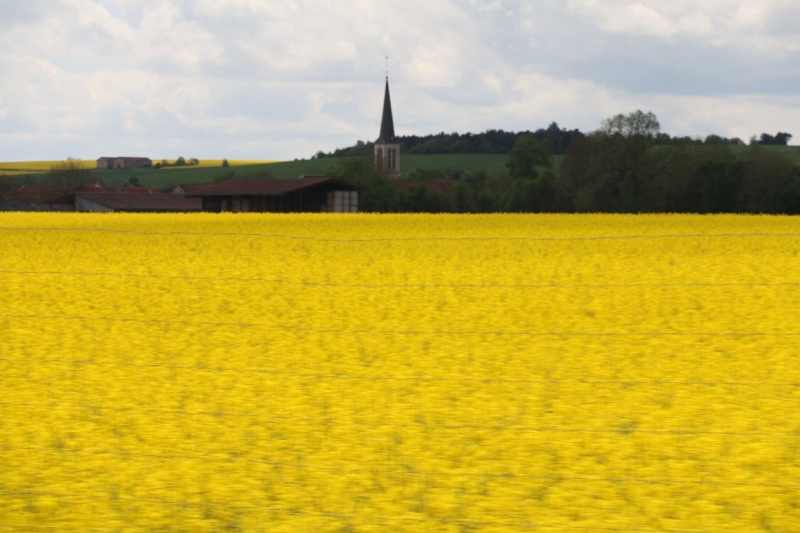 На авто из Москвы_май_2015_Нидерланды, Бельгия, озера Швейцарии и Италии, Германия