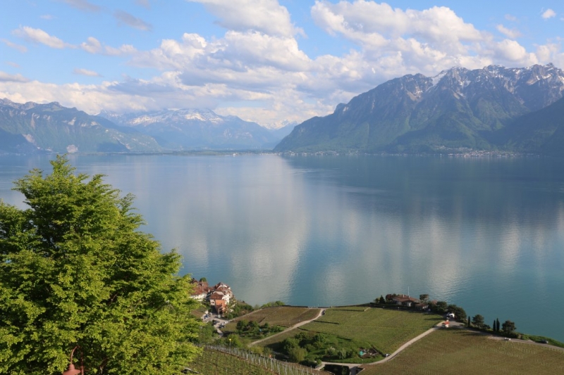 На авто из Москвы_май_2015_Нидерланды, Бельгия, озера Швейцарии и Италии, Германия