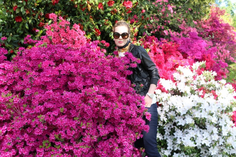 На авто из Москвы_май_2015_Нидерланды, Бельгия, озера Швейцарии и Италии, Германия