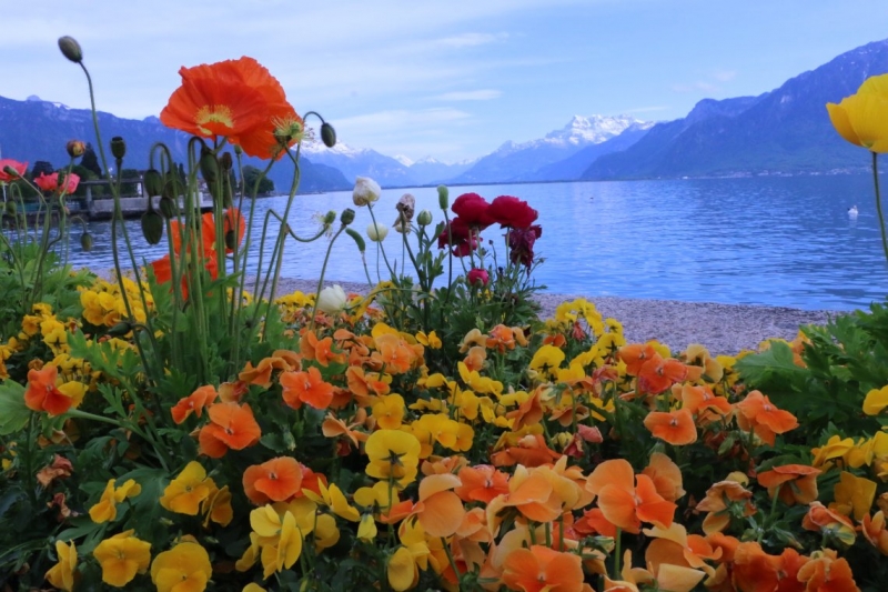 На авто из Москвы_май_2015_Нидерланды, Бельгия, озера Швейцарии и Италии, Германия