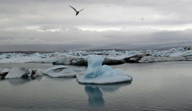 Остров Бекасов