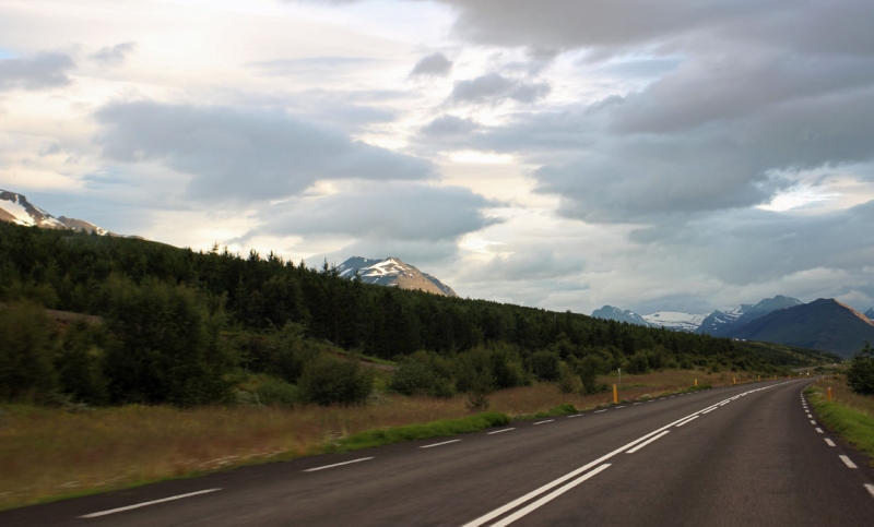 Остров Бекасов