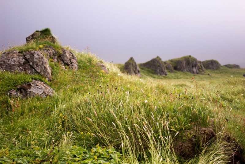 Остров Бекасов